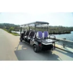 Sightseeing Trams & Tourist Buses
