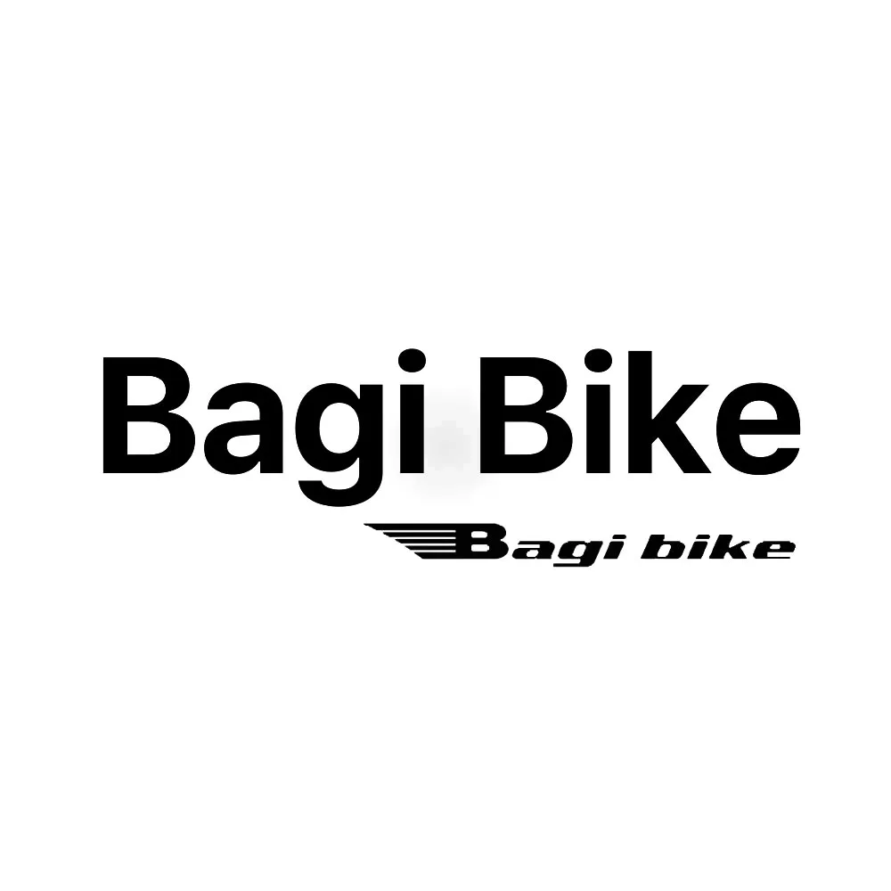 Bagi Bike Battery Pack